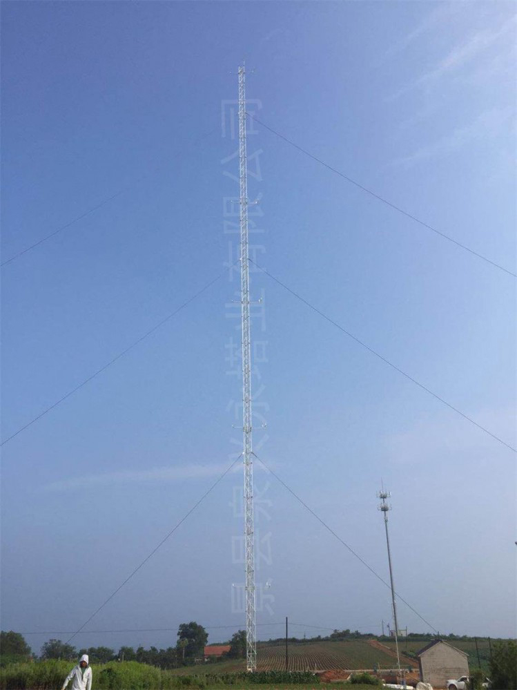 遼寧莊河市核電項目氣象鐵塔及10米風桿建設項目